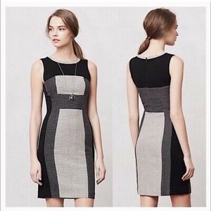 Yoana Baraschi black & white dress